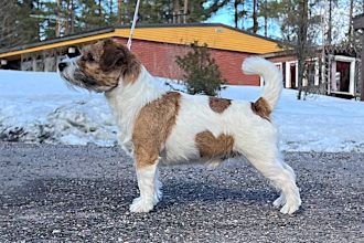 Nitro