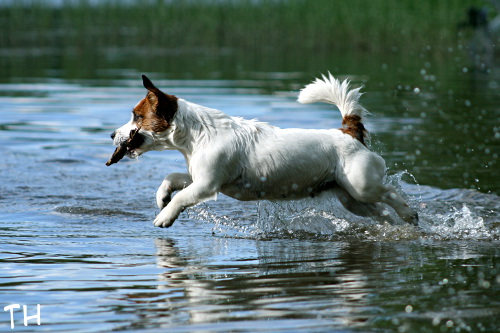 120701_inka2.jpg - Summer fun