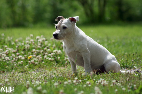 120716_eppu3.JPG - Eppu on summer holidays