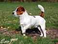 081005_pyry