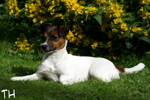090720_sissi2.jpg - Sissi prinsessa