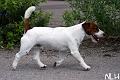 100530_pyry