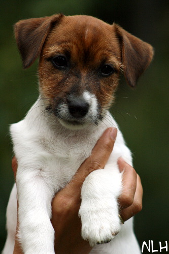 100802_lilli2.jpg - Lilli