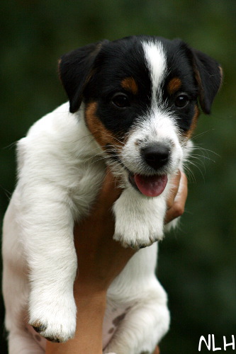 100802_luca2.jpg - Luca