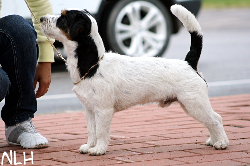 110618_romeo4.jpg - Romeo 13 months (Maiaran Beyond The Horizon)