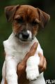 100802_lilli2