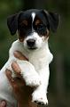 100802_milo2