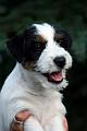 100813_romeo2