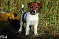 100927_lilli