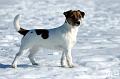 110306_lilli2
