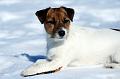 110315_lilli