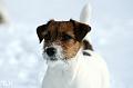 120220_lilli4