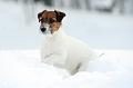 120220_lilli7