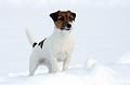 120220_lilli9