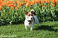 120514_robin1
