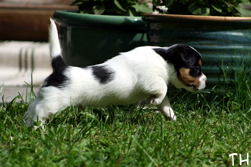 100619_roope.jpg - Roope