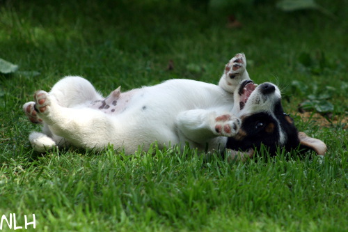 100702_ruben2.jpg - Ruben
