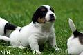 100607_roope