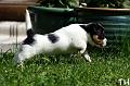 100619_roope