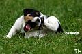 100625_roope