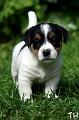 100625_roope2