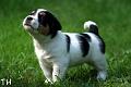 100625_roope3