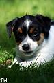 100625_ruben
