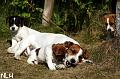 100706_lauma