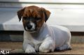 100709_lilli