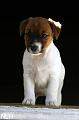 100709_lilli2