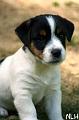 100711_roope