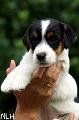 1000707_roope2