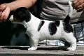 100628_roope2