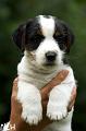100707_romeo2