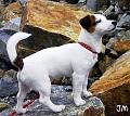 110726_sade