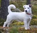 111021_alma