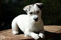 120513_alma2