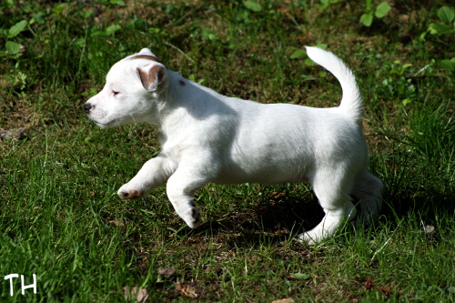 110522_alma.jpg - Alma on run