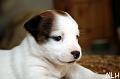 110428_sade
