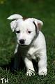 110522_alma2