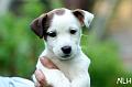 110531_sade2