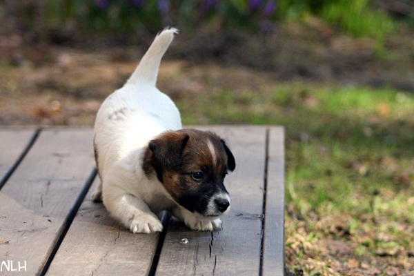 130501_arya3.jpg - Arya